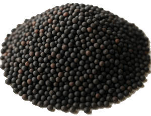 broccoli seeds - source of sulforaphane